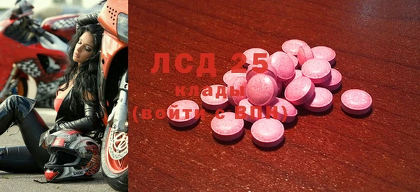 индика Анива