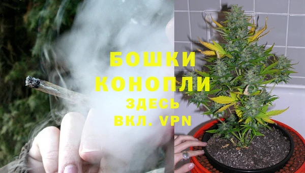 стаф Михайловск