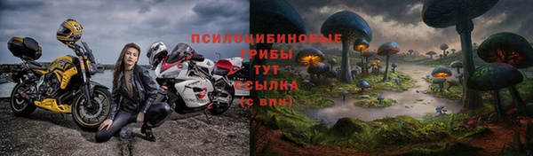 стаф Михайловск