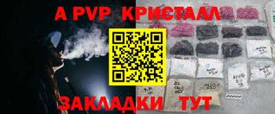 PSILOCYBIN Будённовск