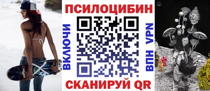 закладка  маркетплейс наркотические препараты  Псилоцибиновые грибы Cubensis  Великий Новгород 