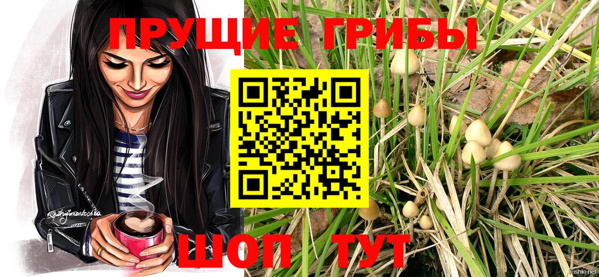 Галлюциногенные грибы Cubensis Великий Новгород