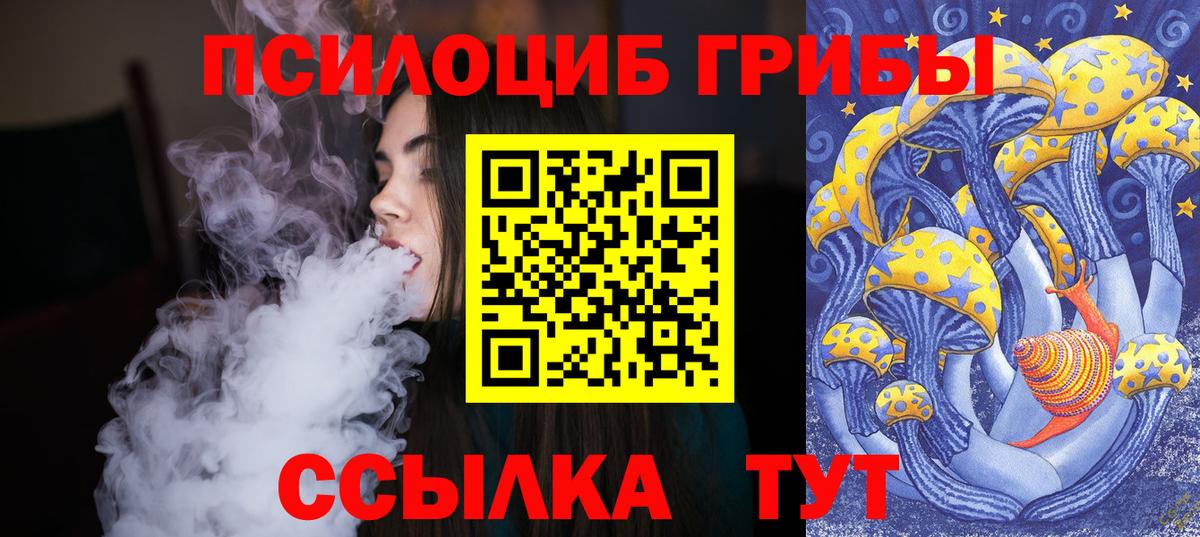 Псилоцибиновые грибы Psilocybe  Галлюциногенные грибы мухоморы  Вход с VPN  Великий Новгород 