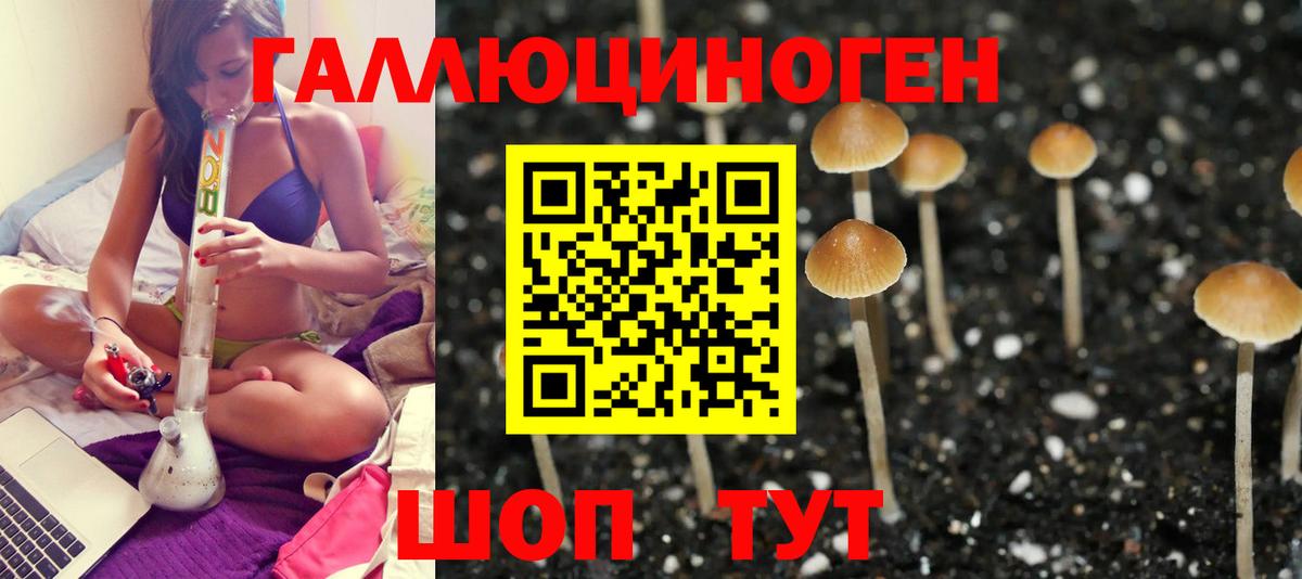 Псилоцибиновые грибы MAGIC MUSHROOMS  как найти закладки  Великий Новгород 