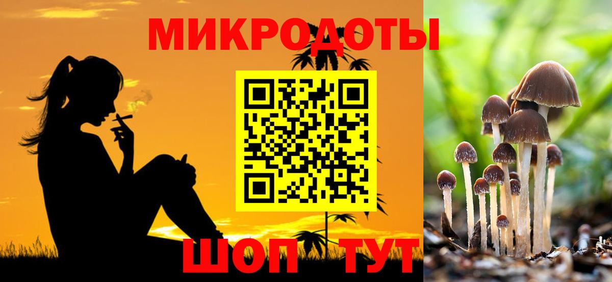 Галлюциногенные грибы мухоморы Великий Новгород