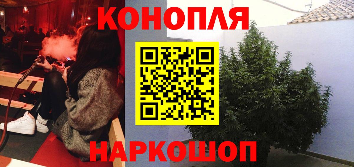 Каннабис сатива Великий Новгород